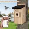 934dba0c-87b6-4994-a3c7-bc0f52e013aa.jpg Smart Bird House with 3MP Camera – Real-Time Bird Watching & Motion Detection