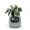 Smart AI Planter with Interactive Expressions – Cute Self-Watering Plant Pot